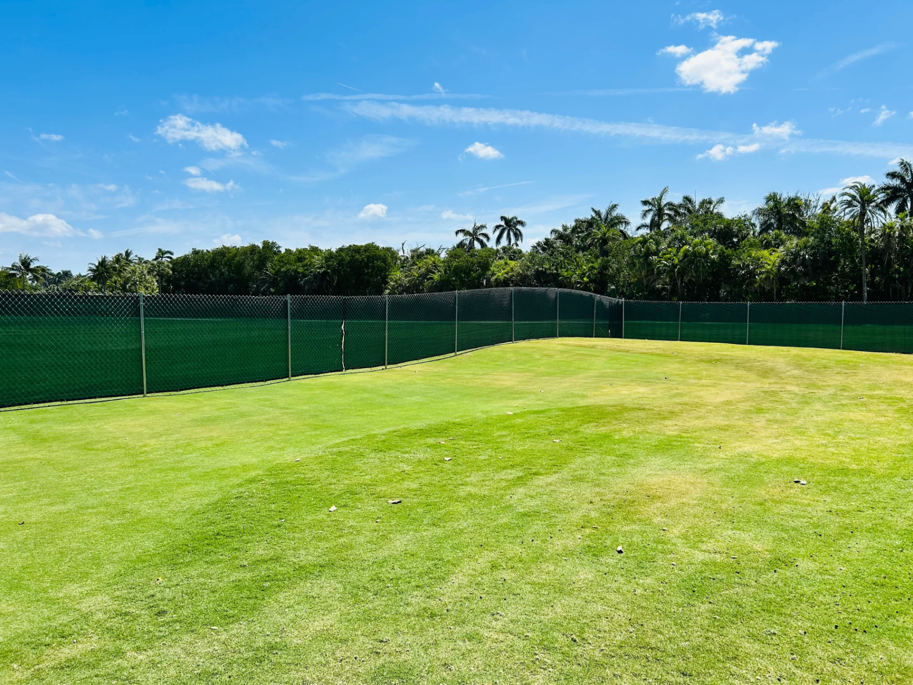 Lawrence Fence Solutions brand-blue temporary fence perimeter along a Florida palm-lined street
